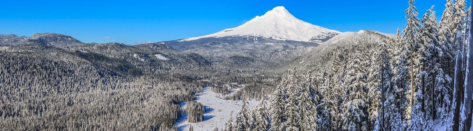 Mt. Hood Meadows
